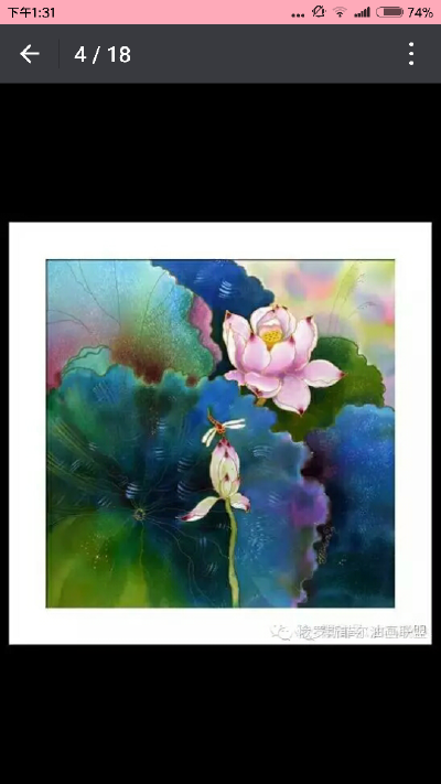 荷花