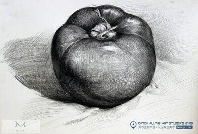 素描静物