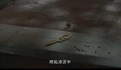 红楼结局。妙玉遭劫。