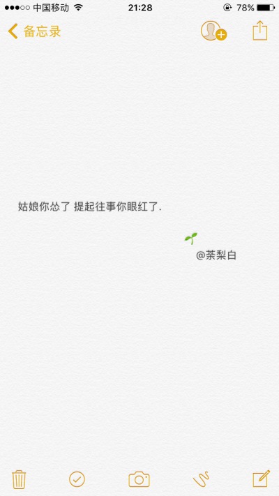 备忘录文字。姑娘你怂了 提起往事你眼红了.