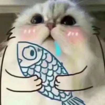 表情包 猫咪 可爱