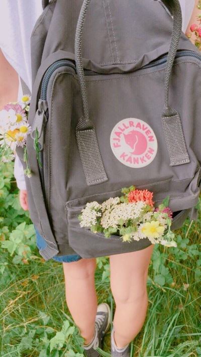 壁纸