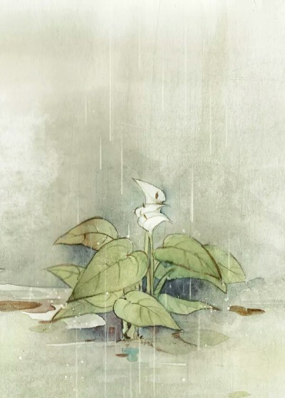 花 插画 风景 人物 森系 手绘 水彩 涂鸦 星空 唯美 意境 背景 二次元 小清新 治愈系