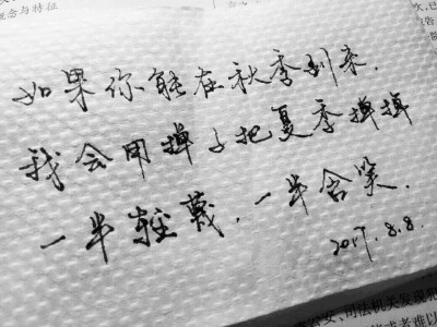 手写 厨房用纸(⑉･̆⌓･̆⑉)