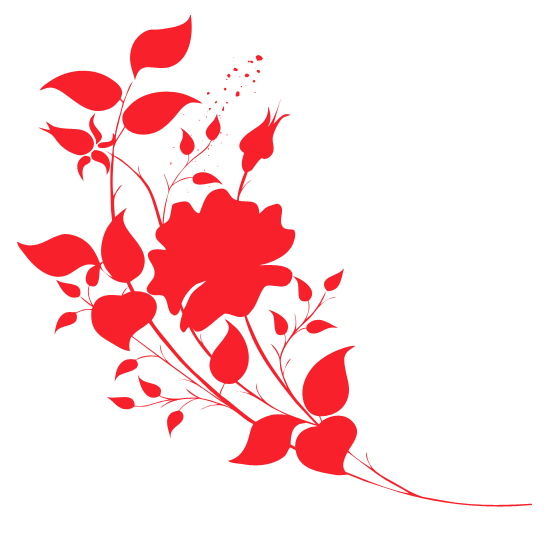免扣 花边自定义