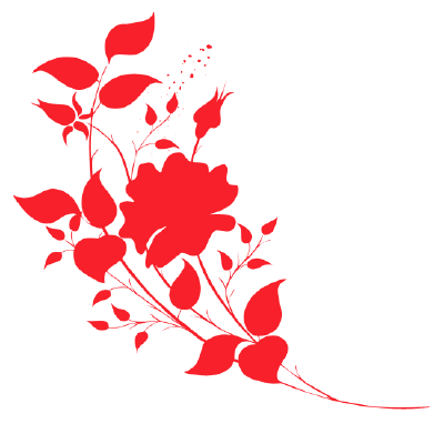 免扣 花边自定义