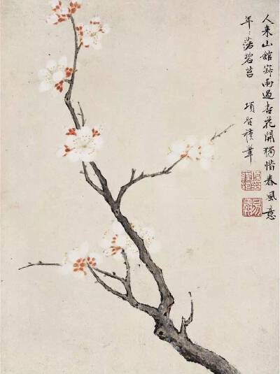 “淡彩没骨，纸上开花”·项圣谟——作品