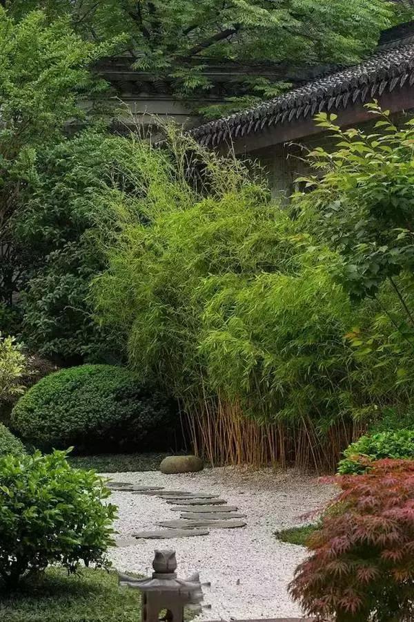 林