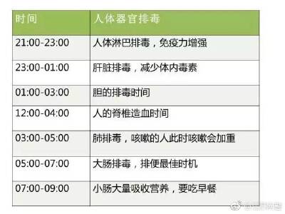 人生时间安排表