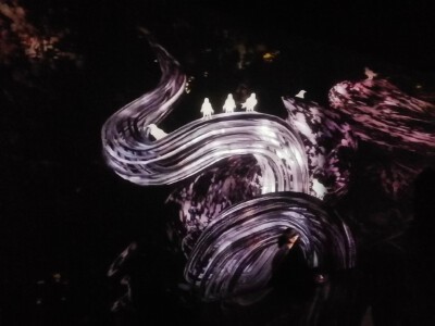 周日去看了teamlab的展，为一期一会的花海和八咫乌的深深打动，未来科技与自然之美的融合，简直太棒了！