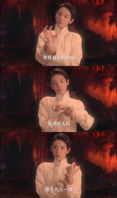 小丁猫