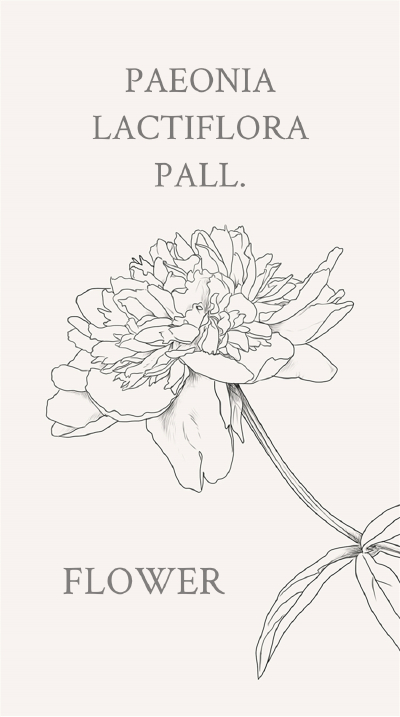 芍药（学名：Paeonia lactiflora Pall.），别名别离草、花中宰相，花语：友谊、爱情。