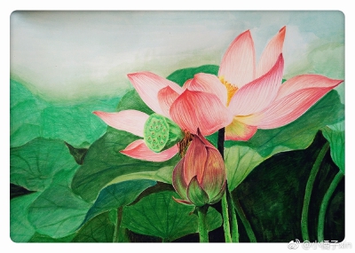 彩铅花卉