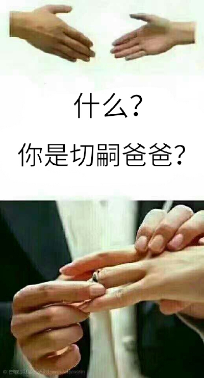 _(:з」∠)_什么，你/卫宫切嗣/切嗣爸爸/表情包/嫁给我吧