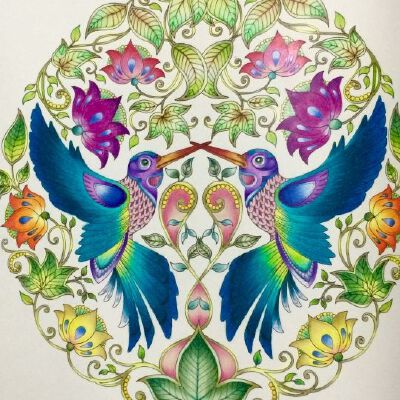 秘密花园；填色