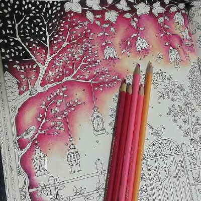 秘密花园；填色