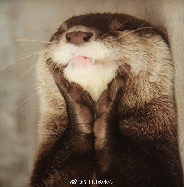 `