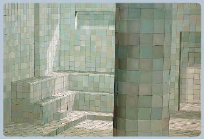 Adriana Varejão ​​​​