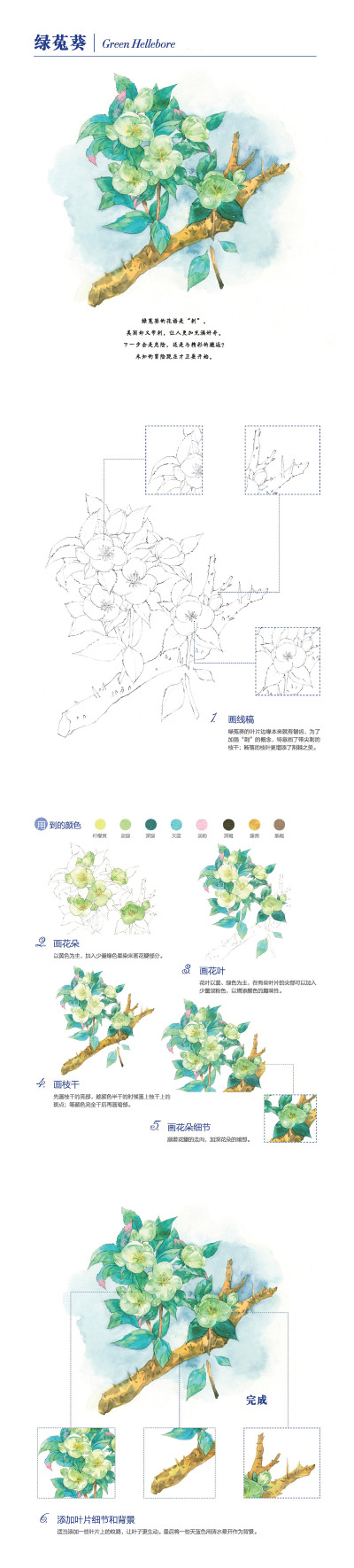 本案例摘自人民邮电出版社出版的《水彩诞生花：12个月的秘密花语水彩插画手绘》http://product.dangdang.com/25123917.html