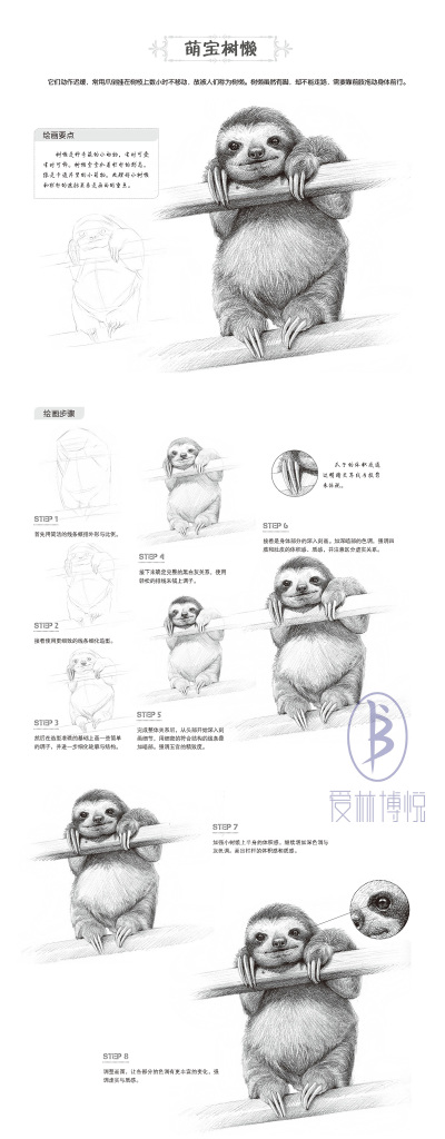 本案例摘自人民邮电出版社出版的《一日一画素描入门：动物篇》。更多原创绘画教程和作品将在“爱林文化”公众号（aiibook）中长期分享！爱林博悦——只为悦读者！