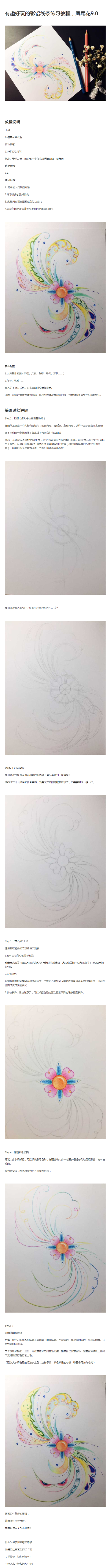 凤尾花9.0