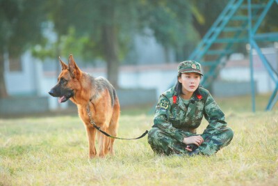 张馨予 奇兵神犬