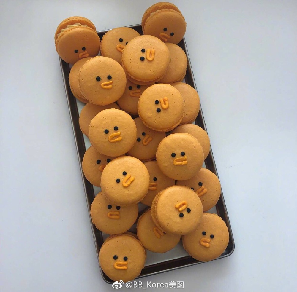 动物马卡龙