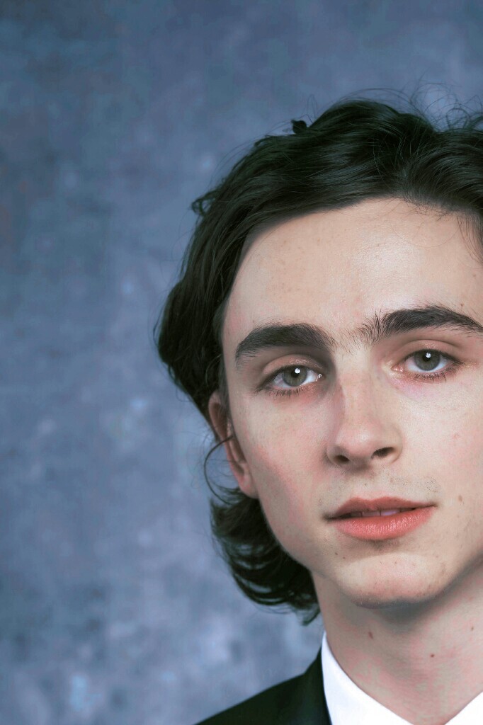 蒂莫西·柴勒梅德Timothée Chalamet，甜茶，头像，壁纸