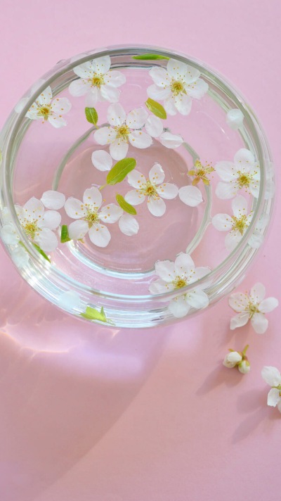 罗马尼亚摄影师Iordache Laurentiu作品，樱花。