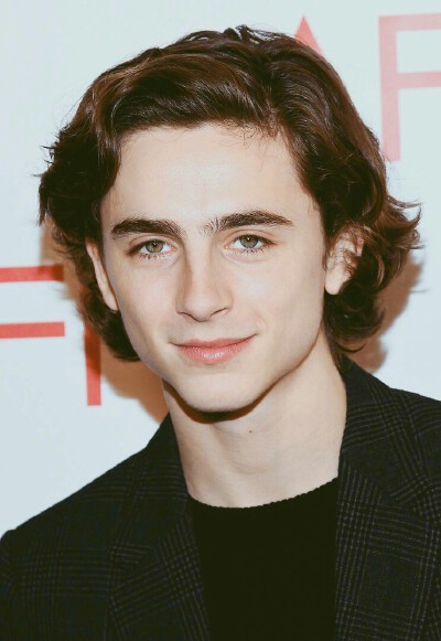 蒂莫西·柴勒梅德Timothée Chalamet，甜茶，头像，壁纸