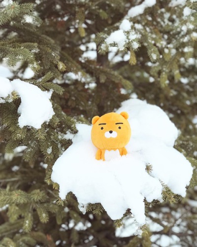 kakao