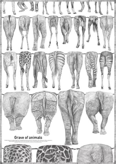Grave of animals