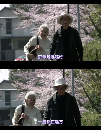 人生果实