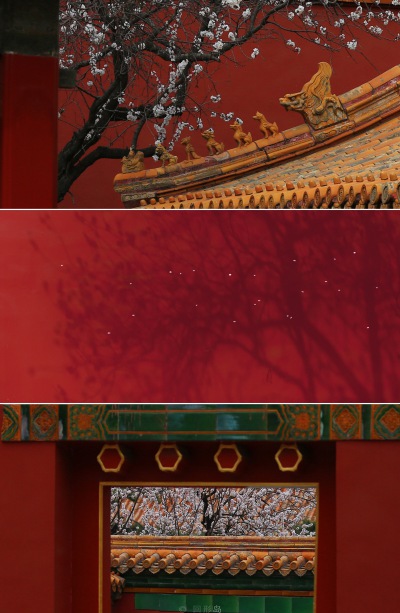 杏花微雨