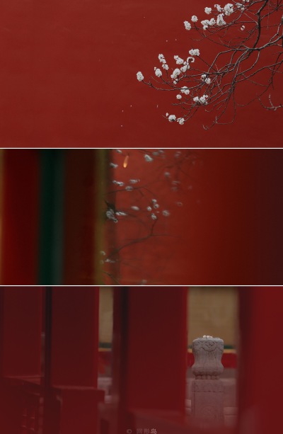 杏花微雨