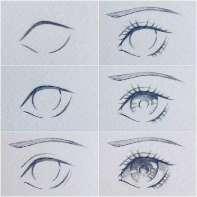 学习画画+眼睛