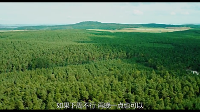 契克