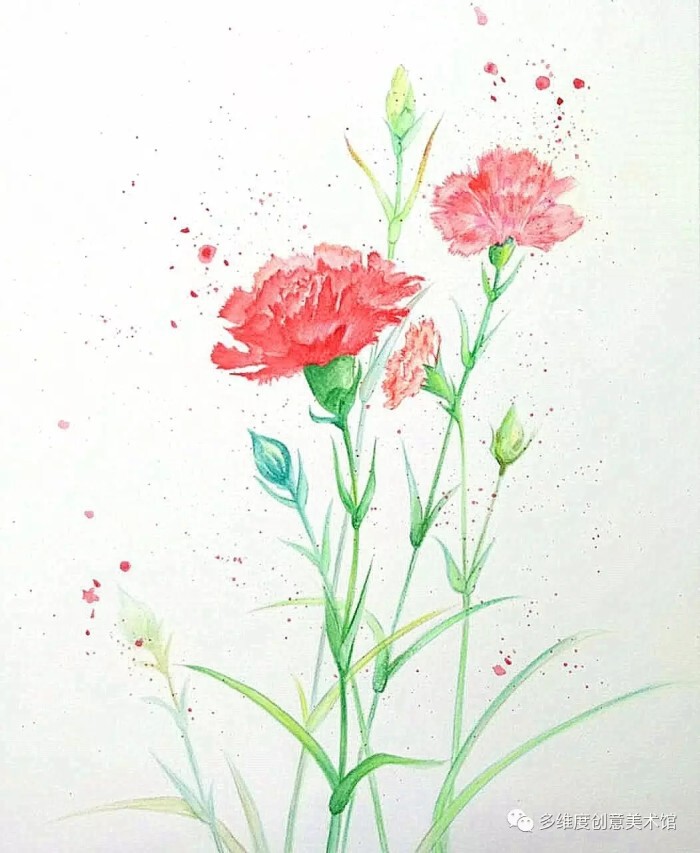 彩铅花卉