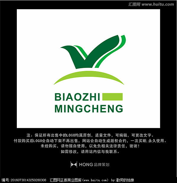 V 字母 LOGO 标志