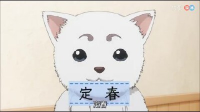 萨达哈鲁