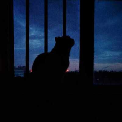 看这神秘的小家伙。
侵权致歉。