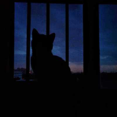 看这神秘的小家伙。
侵权致歉。