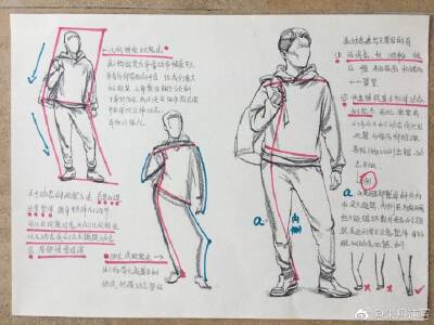 人体