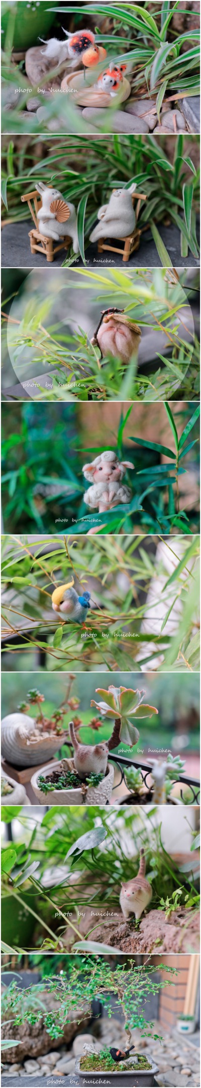 朋友来我家拍的毛毡们
