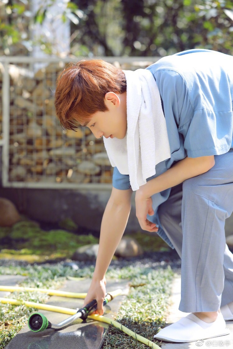 白敬亭