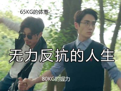 朱一龙