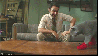 喵星人GIF