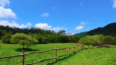 草地 蓝天