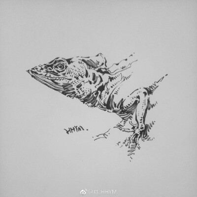 一组动物绘画作品~ （作者：@赫_HHYM ） ​​​