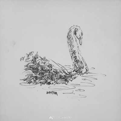 一组动物绘画作品~ （作者：@赫_HHYM ） ​​​